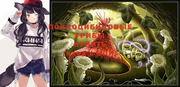 соль ск Володарск
